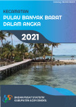 Kecamatan Pulau Banyak Barat Dalam Angka 2021